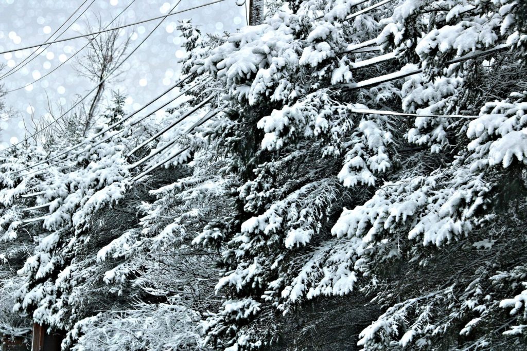 3 Ways a Generator Will Protect Your Home During a Winter Storm